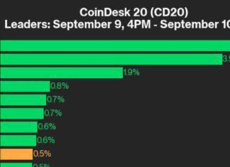 Crypto Market Update: ICP and RNDR Lead CoinDesk 20 Index with 0.5% Gain news-10092024-170740