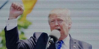 World Liberty Crypto Project by Trump’s Family to Launch on Sept. 16 news-13092024-103322