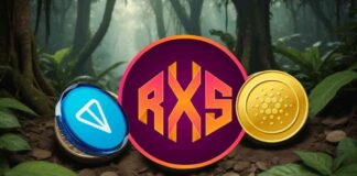 Under $0.05 RWA Token: Top 10 Crypto Potential by 2025 news-13092024-103340