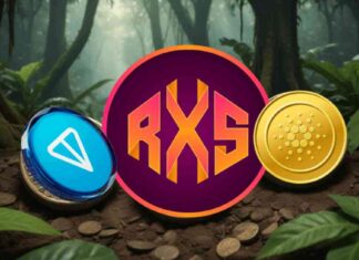 Under $0.05 RWA Token: Top 10 Crypto Potential by 2025 news-13092024-103340