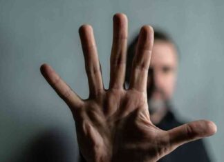 Bitcoin Excluded as Stocks, Bonds, and Gold Surge Amid Global Monetary Stimulus news-13092024-224204