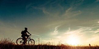 Cryptocurrency Market Update: XRP and DOGE Surge While Bitcoin Falls Below $58K news-14092024-203859