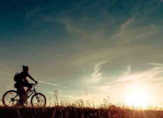 Cryptocurrency Market Update: XRP and DOGE Surge While Bitcoin Falls Below $58K news-14092024-203859