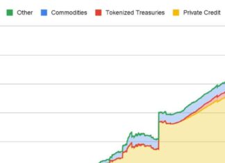 Tokenized Real-World Assets Market Value Exceeds $12B: Binance Research news-15092024-044917