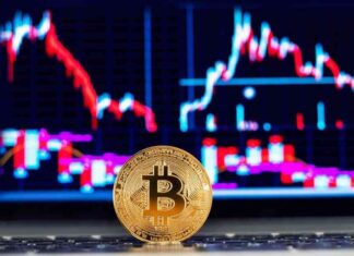 Bitcoin Dogs (0DOG) Attempts $0.04934 as Bitcoin (BTC) Turns Bullish news-16092024-050042