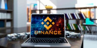 NEIRO and Baby Doge Coin Surge Following Binance Spot Trading Announcement news-16092024-130510