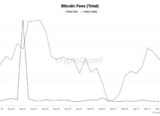Bitcoin Transaction Fees Remain Stable in September After August Surge news-16092024-172112