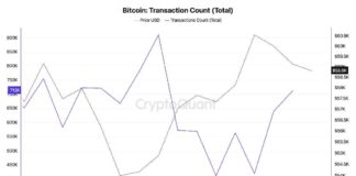 Bitcoin transactions drop significantly in a week news-17092024-093341