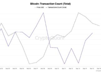 Bitcoin transactions drop significantly in a week news-17092024-093341