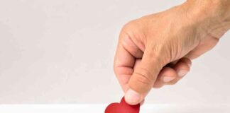 The Future of Crypto Funding for Public Good: What’s Next? news-21092024-065237