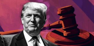 Navigating Regulatory Issues for Trump’s DeFi Project: What to Expect from the SEC news-21092024-105320