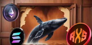 Is Rexas Finance (RXS) the Next Altcoin to Explode? Solana and Ethereum Whales Interested news-22092024-024507