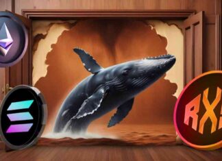 Is Rexas Finance (RXS) the Next Altcoin to Explode? Solana and Ethereum Whales Interested news-22092024-024507