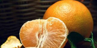 Bitcoin Rollup Citrea Deploys BitVM-Based Bridge ‘Clementine’ on Testnet – A Game-Changer for Crypto Transactions news-24092024-175628