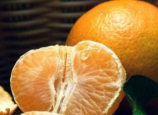 Bitcoin Rollup Citrea Deploys BitVM-Based Bridge ‘Clementine’ on Testnet – A Game-Changer for Crypto Transactions news-24092024-175628