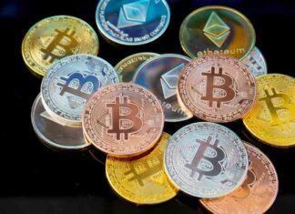 Financial Advisors Increasing Crypto Allocation: Insights from Bitwise CIO – CoinJournal news-24092024-175704