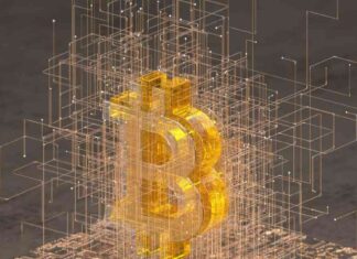 Bitcoin’s Security: Trustless Asset Transfers Made Easy news-24092024-221052