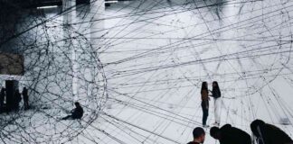 Introducing Cega’s ‘Vault Token Market’ for Effortless DeFi Investing news-25092024-114124