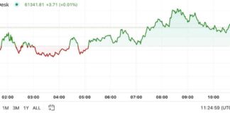 Bitcoin Price Analysis: First Mover Americas Bounces From $60K news-05102024-150707