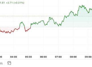 Bitcoin Price Analysis: First Mover Americas Bounces From $60K news-05102024-150707