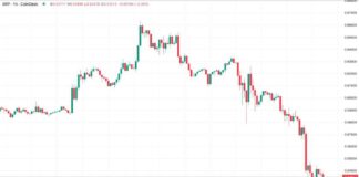 XRP Price Dips 10% as ‘Bearish Skew’ Continues Amid SEC Appeal and ETF Filing news-07102024-031307