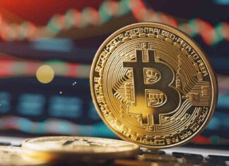 Bitcoin Whales Inject Over $100 Billion, Indicating Market Shift news-09102024-054829