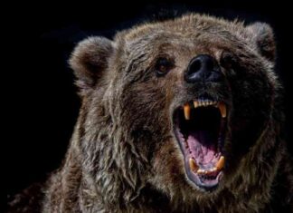 Bitcoin Price Volatility Amid Market Swings: Memecoins Struggle as Profit-Taking Begins news-09102024-054903