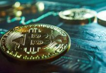 Bitcoin Price Prediction: $80K Possible with Crypto ‘Animal Spirits’, Says Bitwise CIO news-10102024-115915