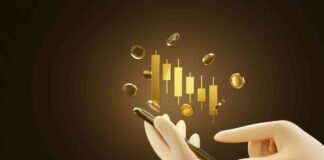 Investor Interest in Crypto ETFs Surges: Charles Schwab Survey news-11102024-000538