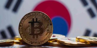 South Korea Considers Approving Spot Bitcoin ETFs news-11102024-060741