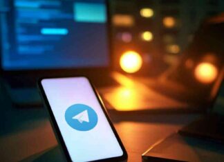 Secure Evidence Collection for Law Enforcement with Telegram Wallet App news-11102024-060812