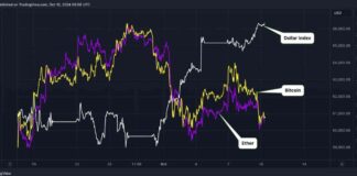 Crypto Prices Drop as Dollar Gains Before U.S. Inflation Report news-11102024-121144