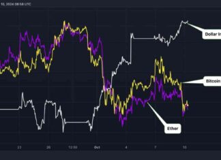Crypto Prices Drop as Dollar Gains Before U.S. Inflation Report news-11102024-121144