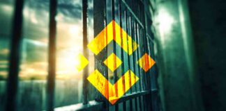 Binance Expresses Disappointment Over Nigerian Court Denying Gambaryan Bail news-12102024-002524