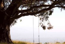 Bitcoin Price Analysis: November Elections Could Spark Bullish Action Amid Record Sideways Trend news-12102024-002704