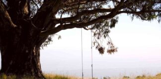 Bitcoin Price Analysis: November Elections Could Spark Bullish Action Amid Record Sideways Trend news-12102024-002704