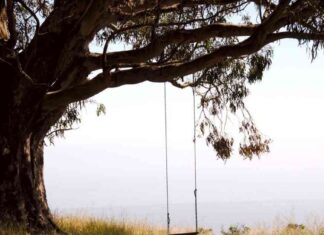 Bitcoin Price Analysis: November Elections Could Spark Bullish Action Amid Record Sideways Trend news-12102024-002704