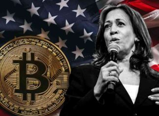 Harris Announces Support for Crypto Ahead of Election news-14102024-193818