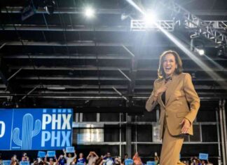 Kamala Harris Supports Crypto Regulation Framework in Campaign Speech news-14102024-193852