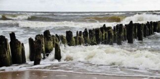 Growing the $1.3B Bitcoin Staking Protocol: Solv Secures $11M Funding news-15102024-014527