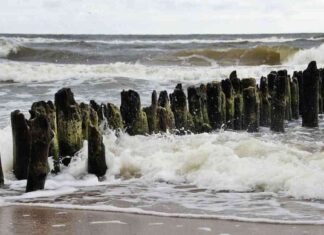 Growing the $1.3B Bitcoin Staking Protocol: Solv Secures $11M Funding news-15102024-014527