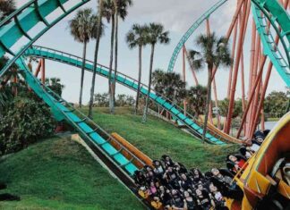 Bitcoin Price Surge: Reaching $68K Before Rapid Decline news-15102024-201511