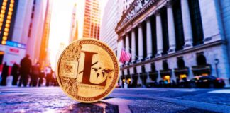 Canary Capital Seeks Approval for First Litecoin ETF in the US news-16102024-024417