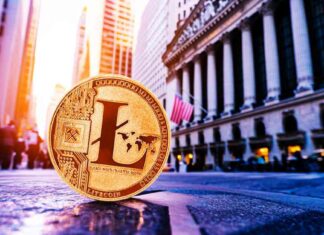 Canary Capital Seeks Approval for First Litecoin ETF in the US news-16102024-024417