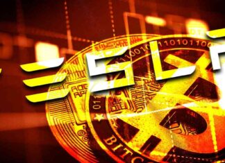 Tesla Sells $765M Bitcoin Holdings, Fueling Speculation news-16102024-084505