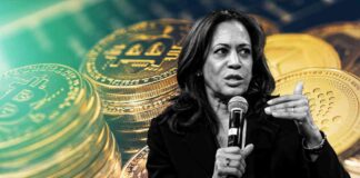 Bitcoin’s Rally Signals Surge to $80K Before Elections – Bitwise CIO news-16102024-084710