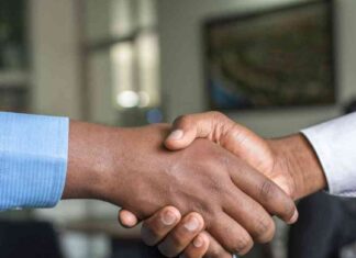 Understanding Bitcoin’s Price Volatility for Financial Advisors news-17102024-212346