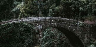 deBridge Token Launches with DBR Airdrop to 491K Wallets news-18102024-033805