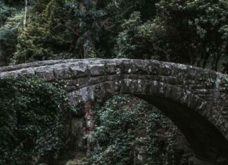 deBridge Token Launches with DBR Airdrop to 491K Wallets news-18102024-033805