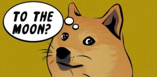 D.O.G.E Coin Surges 7% After Musk Endorses at Trump Rally news-18102024-093849